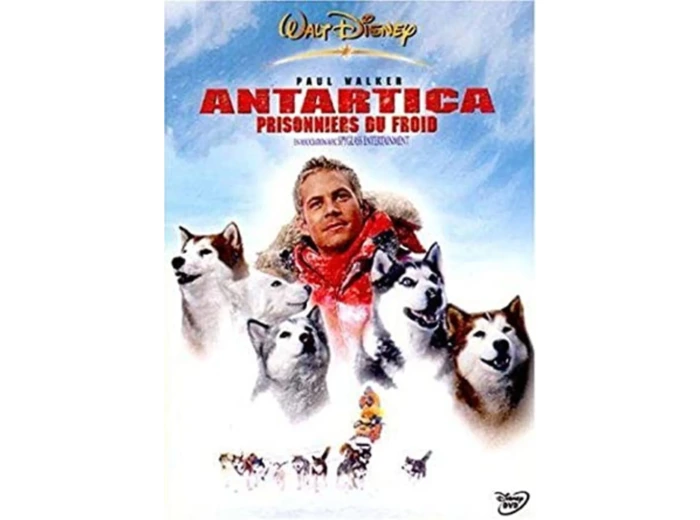 Dvd Antartica, Prisonniers du Froid