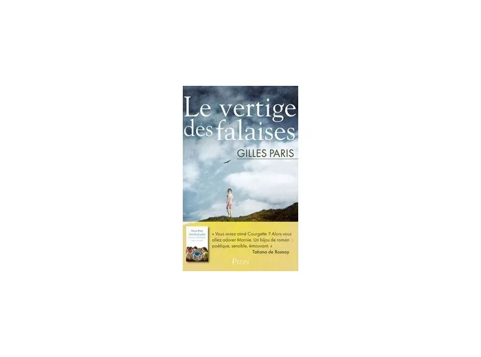 Livre Le Vertige Des Falaises - Gilles Paris