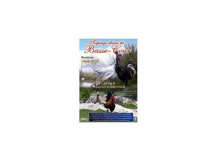 Dvd Tapage dans la basse - cours