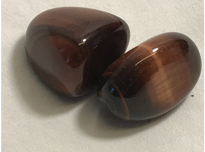 Oeil de taureau