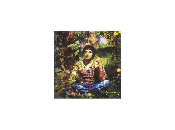 Cd Laurent Voulzy - Saisons (2003)