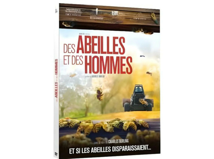 Dvd The Fall : l'intégrale des saisons 1 & 3