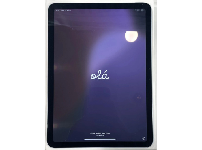 Tablette Apple iPad Air M2 (2024) Wi - Fi 128 Go 11 pouces Bleu