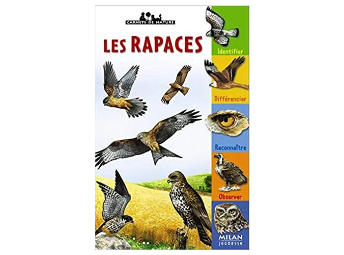 Livre Les Rapaces