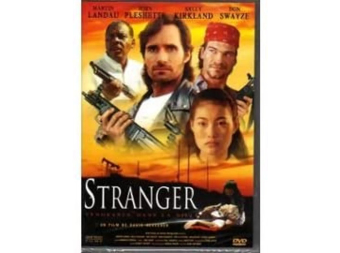 Dvd Stranger - Vengeance dans la ville