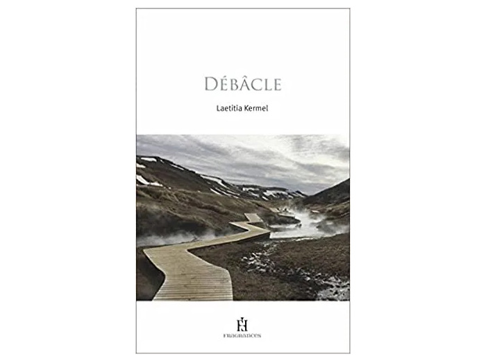 Livre Débacle