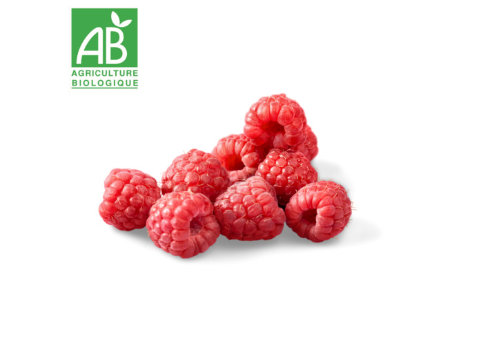 Barquette de Framboise bio x 125g
