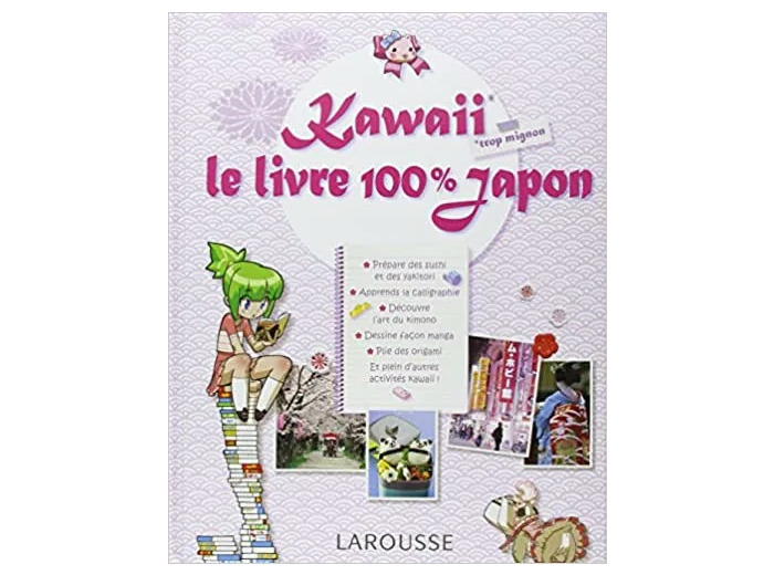 Livre Kawaii Le 100 % Japon
