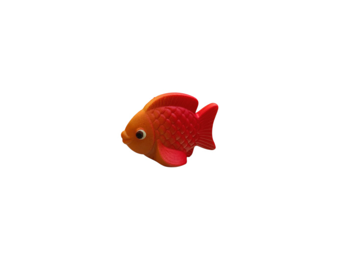 Petit poisson