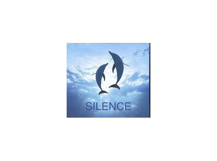 Cd Silence 2004