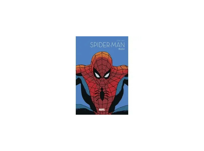 Livre Spider - Man Bleu
