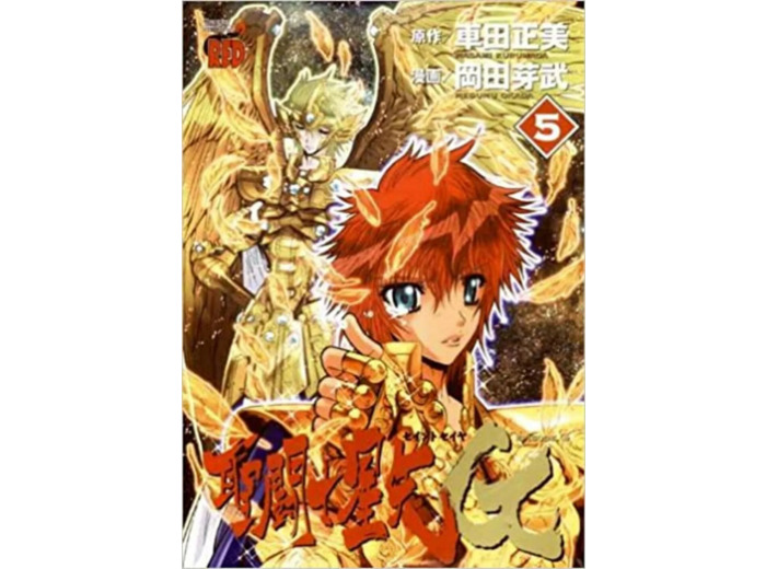Livre Saint Seiya Episode G, Tome 5