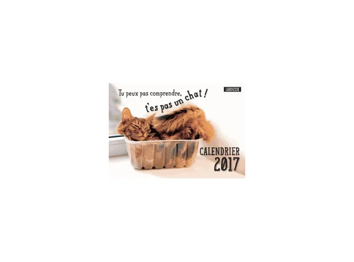 Livre CALENDRIER 2017 TU PEUX PAS COMPRENDRE T'ES PAS UN CHAT