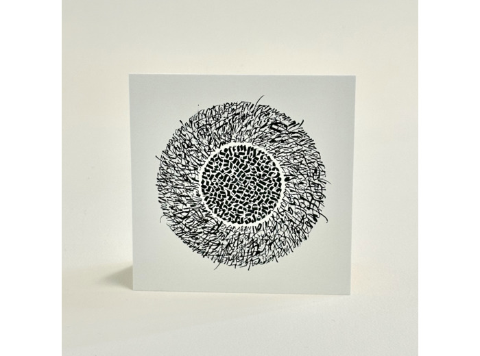 Carte de correspondance 12\12 - P161114