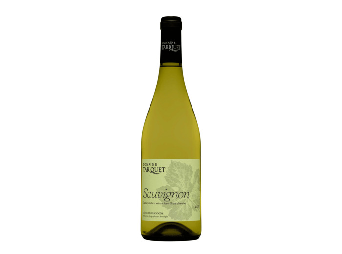 Sauvignon 2023 - Côtes de Gascogne IGP 75Cl