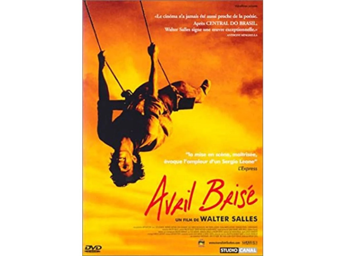 Dvd Avril brisé