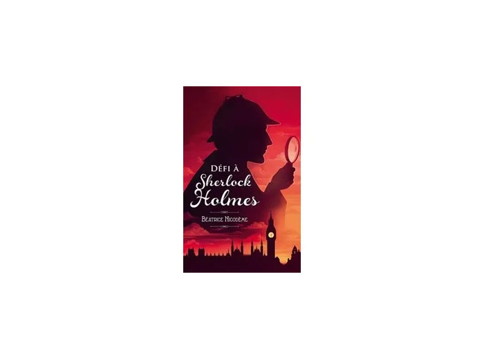 Livre Défi À Sherlock Holmes
