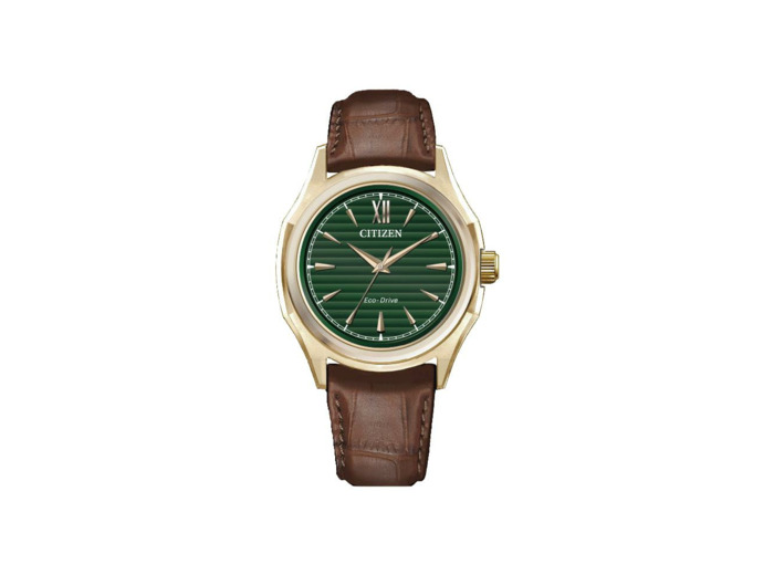 Montre Citizen Platform Classic Elegant FE2113-16X