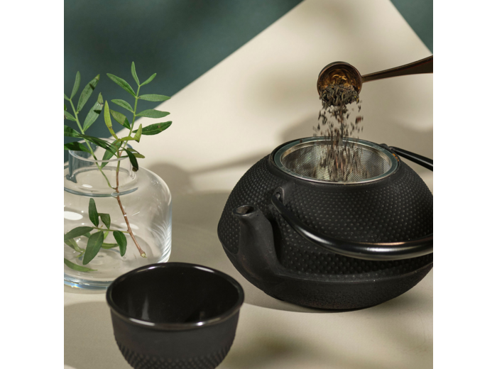 IWACHU Théière fonte 1,15L Arare noire