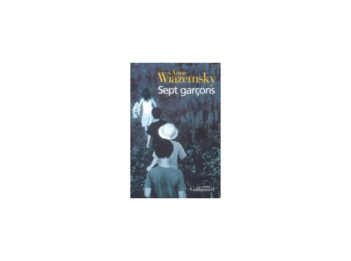 Livre Sept Garçons