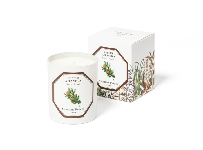 Bougie Parfumée Cèdre
