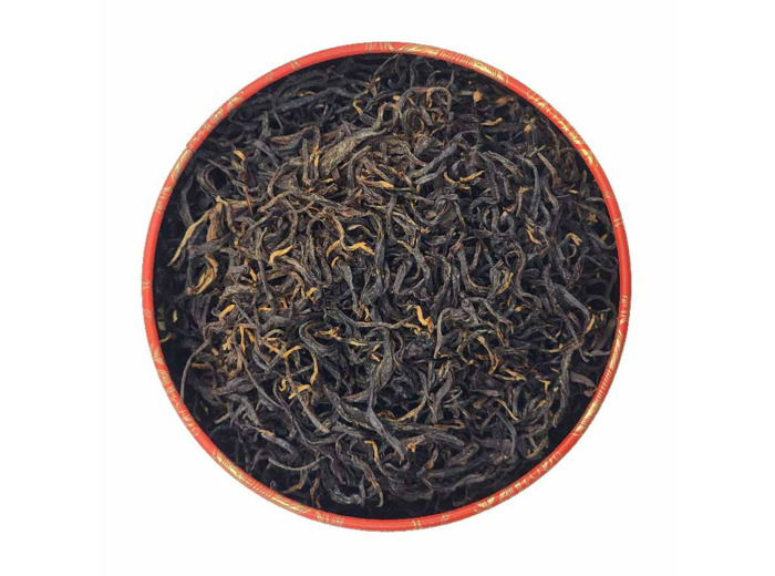 PANYONG BIO
