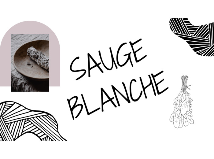Bougie sauge blanche grand modèle
