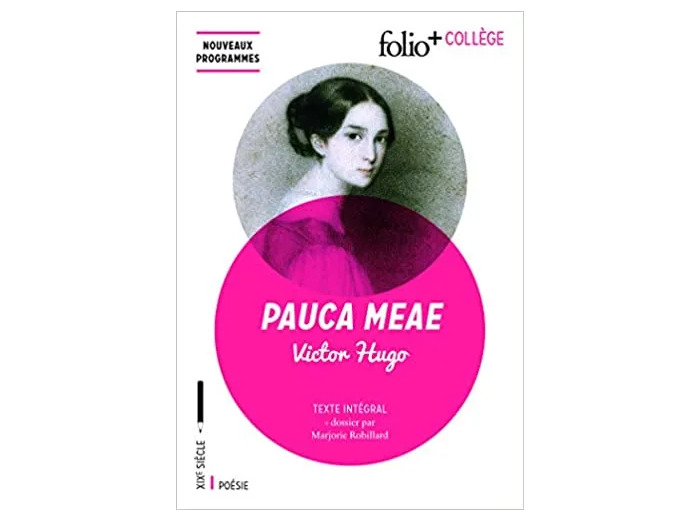 Livre Pauca Meæ
