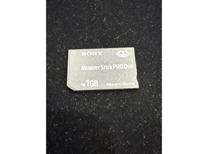 Sony Memory Stick Pro Duo 1 Go