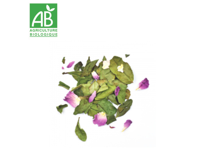 Thé Blanc Rose - Reine de Damas