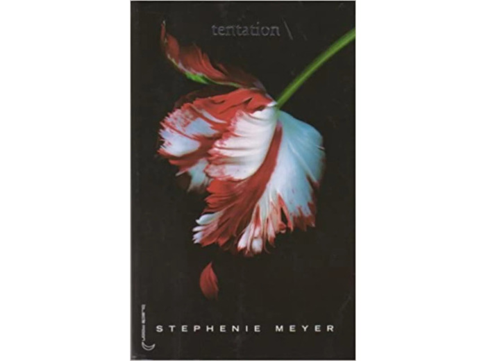 Livre Tentation traduit de l'anglais
