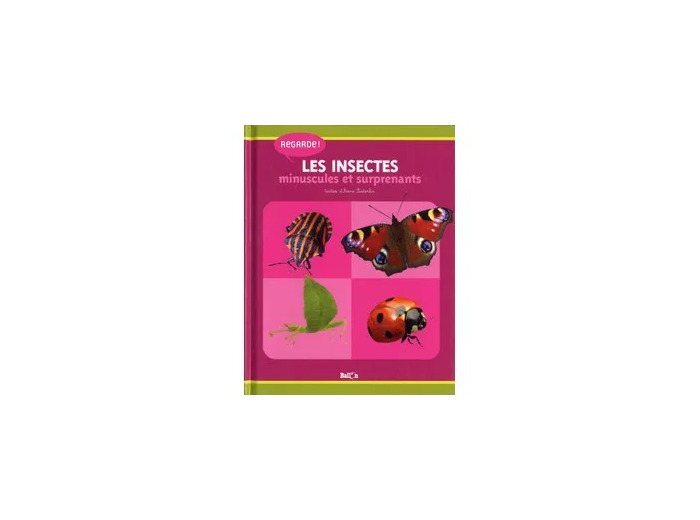 Livre Les insectes