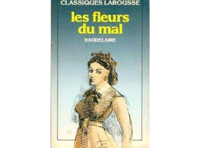 Livre Les Fleurs Du Mal