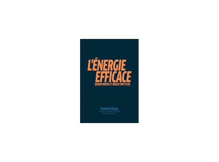 Livre L'énergie Efficace