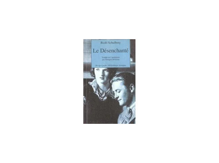 Livre Le Désenchanté