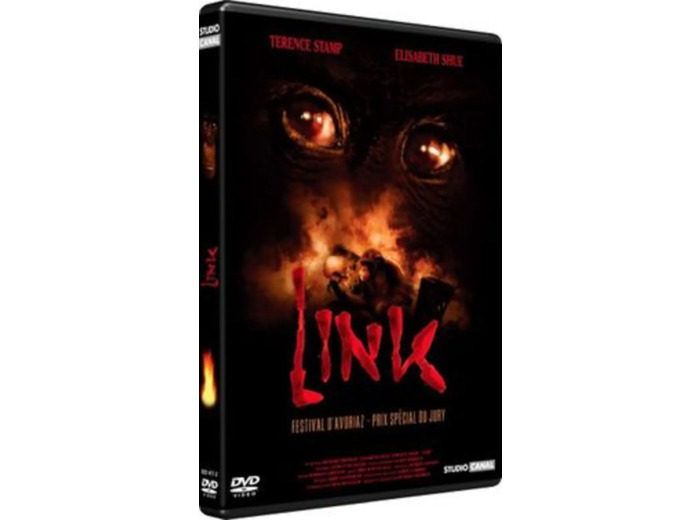 Dvd Link