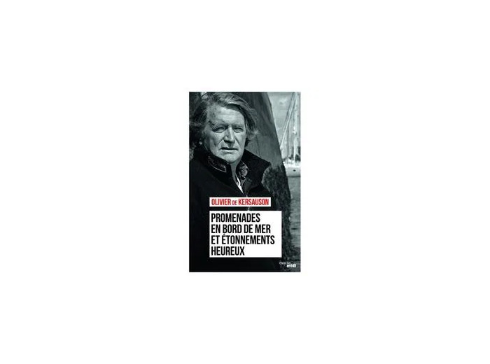 Livre PROMENADES EN BORDS DE MER ET ETONNEMENTS HEUREUX