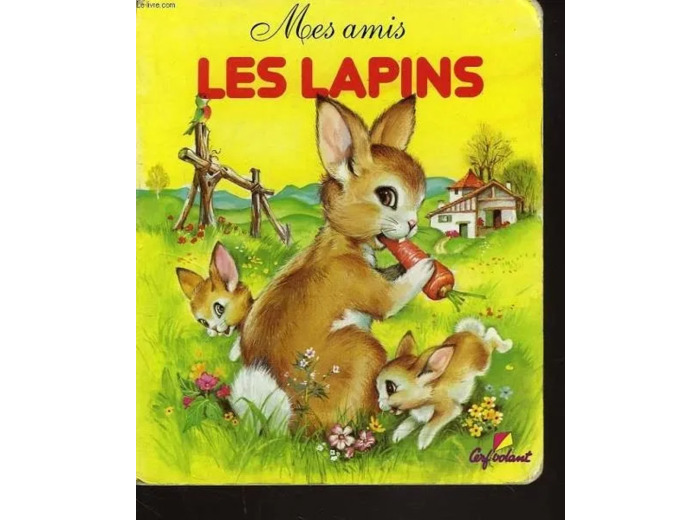 Livre Mes Amis les Lapins