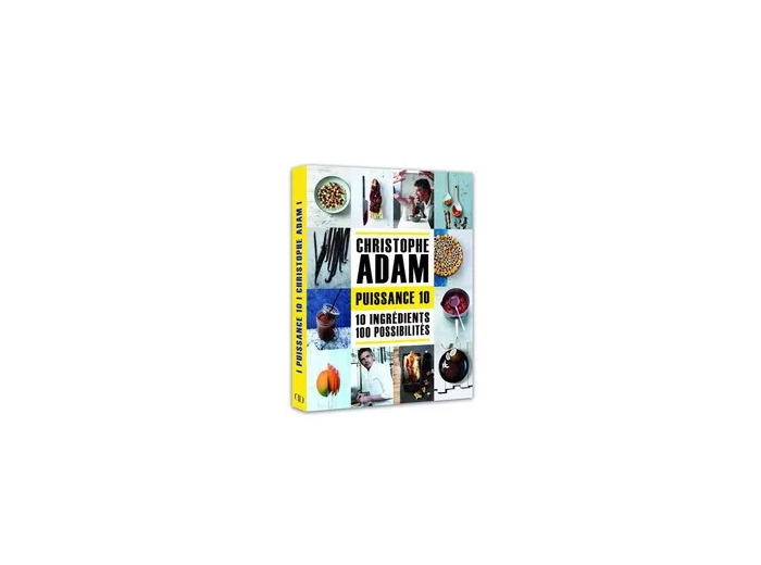 Livre Puissance 10