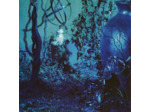 Cd Enya - Shepherd Moons (1991)