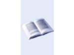 Livre Le petit chose
