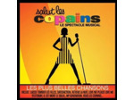 Cd Various - Salut Les Copains - Le Spectacle Musical (2012)