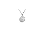Médaille Arthus Bertrand en argent