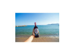 Soplica 1891 Myrtille 32% (50cl)