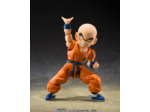 [FIGURINE] Dragon Ball z - SH figuarts -Krillin Son Goku Old Friend