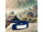 [ABYSTYLE] Naruto Shippuden - Bandeau Bleu Taille Adulte - Konoha