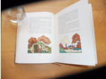 Renard Maurice Deux Contes À La Plume D'Oie