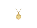 Médaille Arthus Bertrand en vermeil