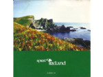 Cd Various - Spirit Of Ireland (1998)