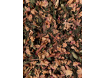 Tisane  ~ Spirit
